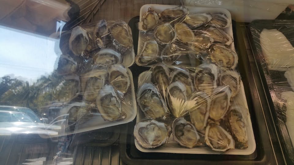 Trays of fresh oysters on display